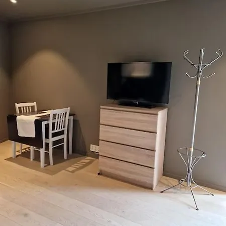 Stilren Med Egen Inngang Og Kokemuligheter. Tromso