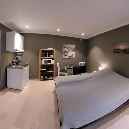 Stilren Med Egen Inngang Og Kokemuligheter.